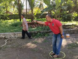 Cara Bermain Olahraga Petanque Yang Berasal Dari Perancis