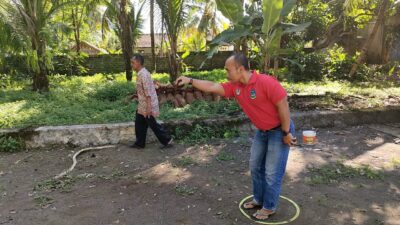 Cara Bermain Olahraga Petanque Yang Berasal Dari Perancis