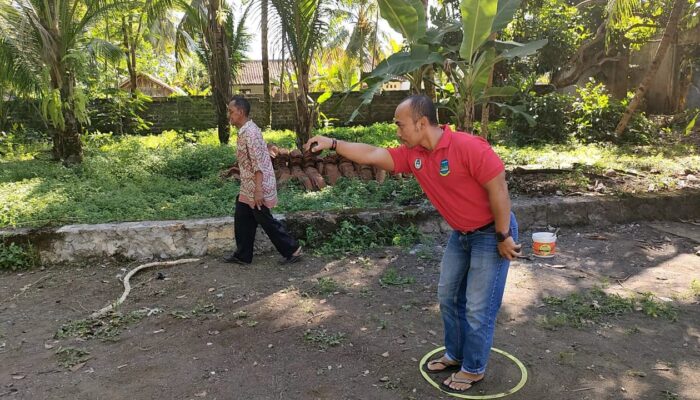 Cara Bermain Olahraga Petanque Yang Berasal Dari Perancis