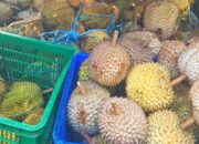 Makan Buah Durian Ternyata Banyak Manfaatnya Bagi Kesehatan Tubuh