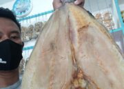 Daftar Harga Ikan Asin Jambal Roti Terbaru April 2022 Di Pantai Pangandaran