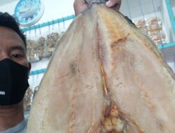 Daftar Harga Ikan Asin Jambal Roti Terbaru April 2022 Di Pantai Pangandaran