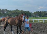 Daftar Peserta Kejuaraan Pacuan Kuda Bupati Pangandaran Cup 2022