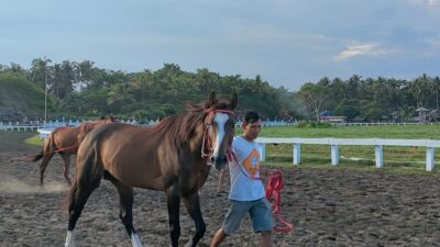 Daftar Peserta Kejuaraan Pacuan Kuda Bupati Pangandaran Cup 2022