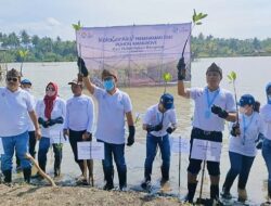 Peduli Pelestarian Lingkungan, Bank bjb Tanam 2061 Pohon Mangrove Di Tanjung Cemara Pangandaran