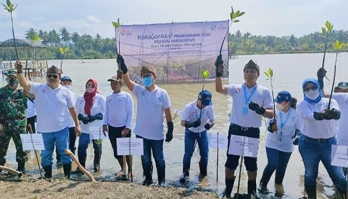 Peduli Pelestarian Lingkungan, Bank bjb Tanam 2061 Pohon Mangrove Di Tanjung Cemara Pangandaran