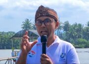 Penanaman 2061 Pohon Mangrove 2 Dekade Gerakan APU PPT, Ternyata Ini Filosopinya
