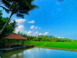 Wisata Pangandaran Terbaru 2022, Konsep Ekowisata Berlibur Ke Rumah Nenek Di Kampung