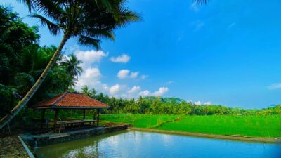 Wisata Pangandaran Terbaru 2022, Konsep Ekowisata Berlibur Ke Rumah Nenek Di Kampung