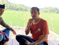 Ekowisata Konsep Berlibur Di Rumah Nenek, Kolaborasi Menanam Padi dan Ikan Di Sawah