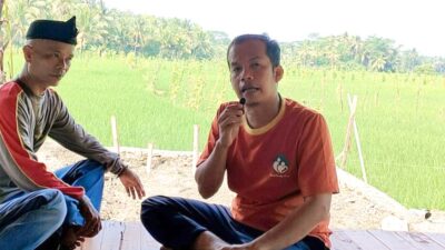 Ekowisata Konsep Berlibur Di Rumah Nenek, Kolaborasi Menanam Padi dan Ikan Di Sawah