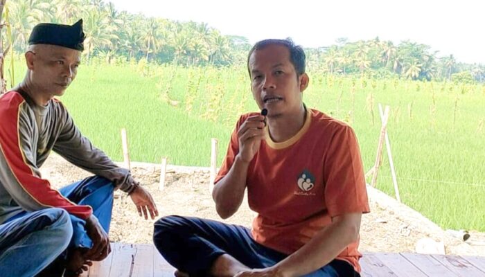 Ekowisata Konsep Berlibur Di Rumah Nenek, Kolaborasi Menanam Padi dan Ikan Di Sawah