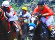 Kejuaraan Pacuan Kuda Susi Air Cup Nusantara Derby 2022, Ini Syarat Pendaftaran