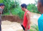 Hujan Deras Tanggul Sungai Pembatas Jebol Di Kalipucang, Petani Khawatir Merugi