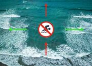 Wisatawan Wajib Tahu Ini, Bila Berkunjung Ke Pantai Pangandaran