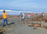Sampah Kayu Berserakan Di Pantai Batu Hiu, Pedagang Kompak Membersihkan