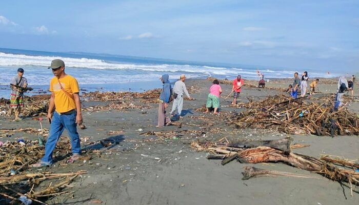 Sampah Kayu Berserakan Di Pantai Batu Hiu, Pedagang Kompak Membersihkan