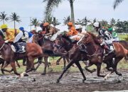 Kejuaraan Pacuan Kuda Susi Air Nusantara Derby Round I Tahun 2022, Pesertanya Kuda Kuda Nomor Satu Indonesia