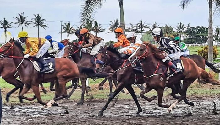 Kejuaraan Pacuan Kuda Susi Air Nusantara Derby Round I Tahun 2022, Pesertanya Kuda Kuda Nomor Satu Indonesia