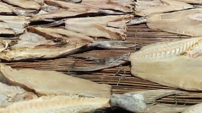 Asin Jambal Roti Salah Satu Warisan Budaya Tak Benda Di Kabupaten Pangandaran