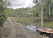 Banjir Surut Di Blok Cikubang, Mushola Masih Terendam Di Blok Cioe Desa Bunisari