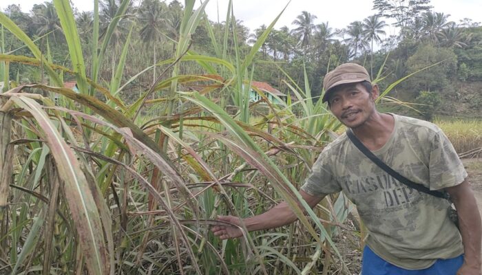 Pembudidaya Turubuk Merugi Pasca Blok Cikubang Terendam Banjir