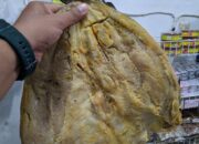 Harga Ikan Asin Jambal Roti Super Di Pantai Pangandaran