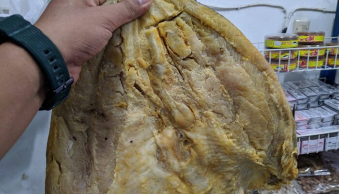 Harga Ikan Asin Jambal Roti Super Di Pantai Pangandaran
