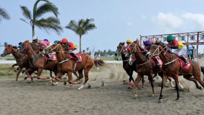 Daftar Kelas Dan Jumlah Kuda Yang Akan Bertanding Pada Porprov XIV Jabar 2022