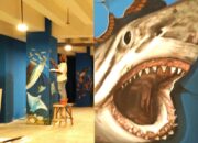 Menjelang Soft Opening Aquarium Indonesia Pangandaran,7 Pelukis Hiasi Dinding Tiang Gambar Biota Laut 3 Dimensi