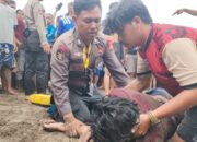 Menegangkan Aksi Petugas Menolong Seorang Pengunjung Terseret Arus Pantai Pangandaran