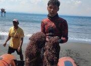 Penyelam Pangandaran Bersihkan Terumbu Karang Pantai Batukaras Dapat Jaring Ikan