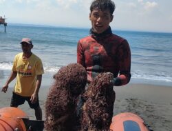 Penyelam Pangandaran Bersihkan Terumbu Karang Pantai Batukaras Dapat Jaring Ikan