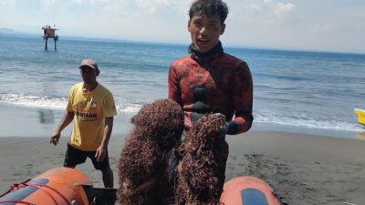 Penyelam Pangandaran Bersihkan Terumbu Karang Pantai Batukaras Dapat Jaring Ikan