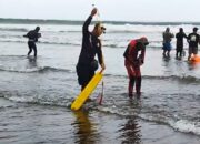 Pencarian Korban Tenggelam Terseret Arus Pantai Pangandaran Turunkan Tim Penyelam