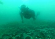 Selamatkan Laut, Komunitas Penyelam Akan Bersih-bersih Terumbu Karang Pantai Batukaras