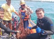 Dosen Unpad Pangandaran Bangga Bisa Bergabung Bersihkan Terumbu Karang Pantai Batukaras