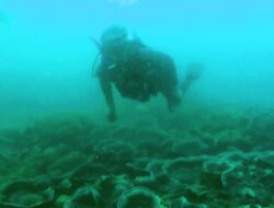 Komunitas Penyelam Batukaras Duck Dive Lestarikan Terumbu Karang, Potensi Wisata Bahari