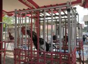 Sambut HUT Kodam III Siliwangi,Kodim Pangandaran Gelar Kontes Ayam Pelung
