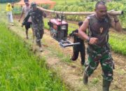 Kodim 0625 Bersama Dinas Pertanian Pangandaran,Tingkatkan Produktivitas Padi melalui Pompanisasi Pengairan Sawah