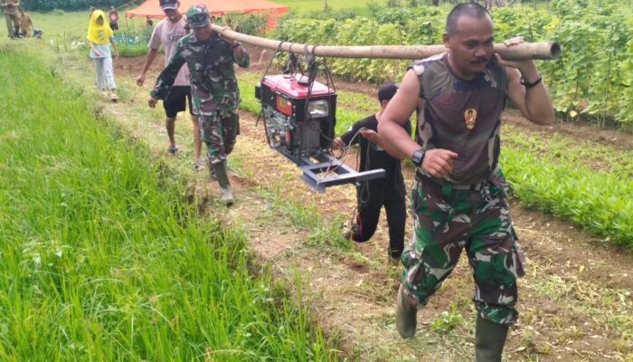 Kodim 0625 Bersama Dinas Pertanian Pangandaran,Tingkatkan Produktivitas Padi melalui Pompanisasi Pengairan Sawah