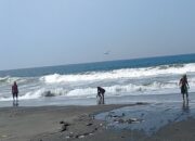 Berburu Undur Undur Laut Yuyutuk Di Pantai Bojongsalawe Saat Gelombang Laut Sedang Tinggi