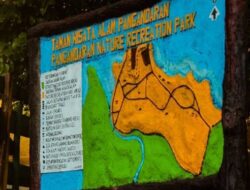 Pengelolaan Taman Wisata Alam (TWA) Cagar Alam  Pangandaran Jadi Sorotan Ketua DPRD Asep Noordin