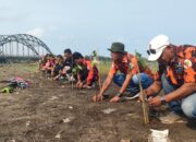 Peringati Hari Lahir Pancasila,10 PAC Pemuda Pancasila Se Kabupaten Pangandaran Tanam Mangrove