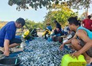 Foto Hasil Tangkapan Ikan Nelayan Pantai Timur Pangandaran