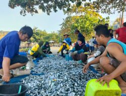 Foto Hasil Tangkapan Ikan Nelayan Pantai Timur Pangandaran