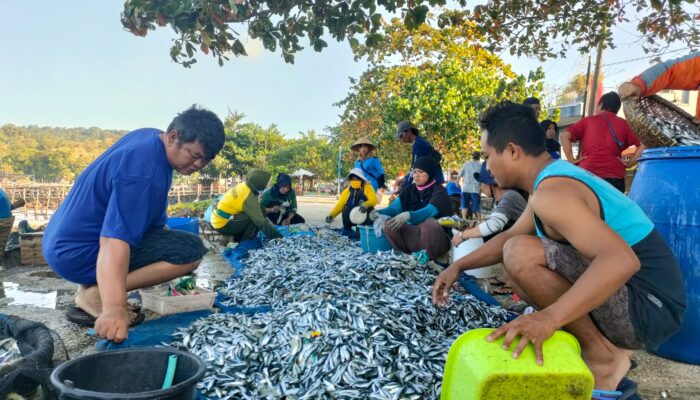Foto Hasil Tangkapan Ikan Nelayan Pantai Timur Pangandaran