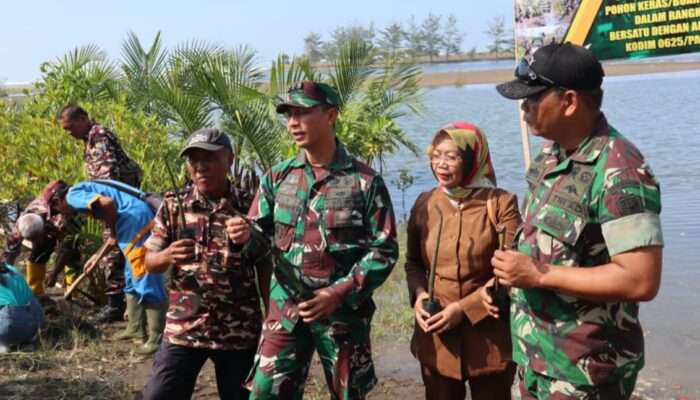 Dandim Pangandaran Tinjau Penyemaian Bibit Mangrove di Karang Tirta