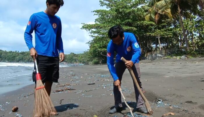 Aksi Terpuji Duck Dive Bersihkan Ubur Ubur Blue Bottle Yang Berserakan Di Pantai Batukaras