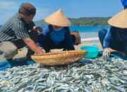 Foto Hasil Tangkapan Nelayan Tradisional Pangandaran